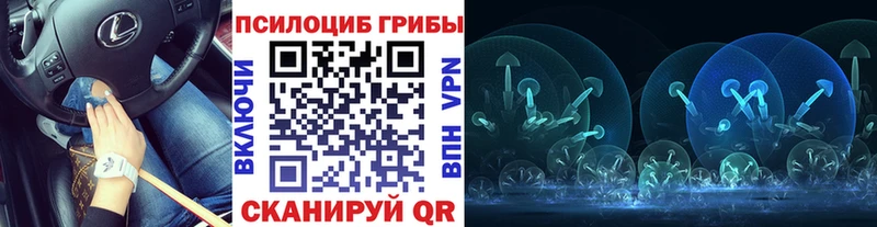 Псилоцибиновые грибы Psilocybe  Покров 
